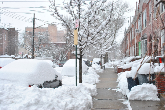 [snow view]